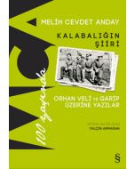 Kalabalığın Şiiri