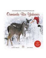 Ormanda Bir Yabancı