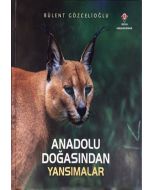 Anadolu Doğasından Yansımalar (Ciltli)