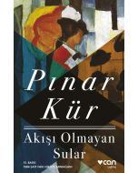 Akışı Olmayan Sular