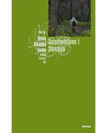 Seyahatname-i Süreyya