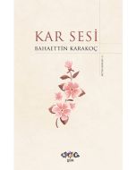 Kar Sesi