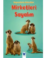 Mirketleri Sayalım