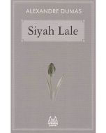 Siyah Lale