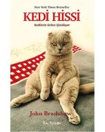 Kedi Hissi