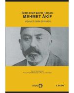 İslamcı Bir Şairin Romanı - Mehmet Âkif