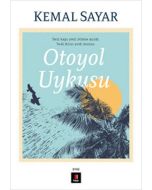Otoyol Uykusu