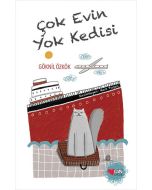 Çok Evin Yok Kedisi