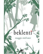 Beklenti