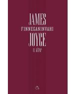 Finneganın Vahı 2. Kitap