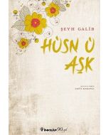 Hüsn ü Aşk