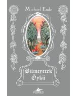 Bitmeyecek Öykü