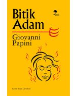 Bitik Adam