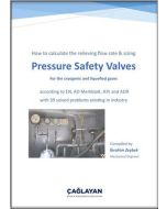 Pressure Safety Valves