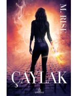 Çaylak (Ciltli)
