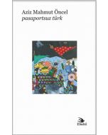Pasaportsuz Türk