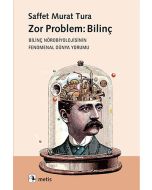 Zor Problem: Bilinç