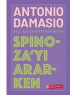 Spinoza'yı Ararken