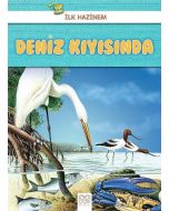 Deniz Kıyısında - İlk Hazinem