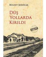 Düş Yollarda Kırıldı