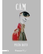 Cam