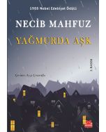 Yağmurda Aşk