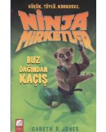 Ninja Mirketler - Buz Dağından Kaçış