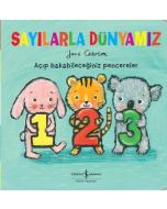 Sayılarla Dünyamız