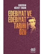 Edebiyat ve Edebiyat Tarihi Özü