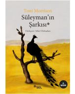 Süleyman’ın Şarkısı