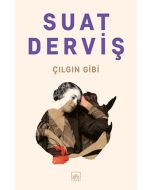 Çılgın Gibi