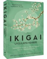 Ikigai - Uygulama Rehberi