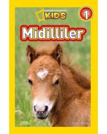 Midilliler
