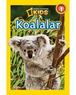 Koalalar - Seviye 1