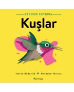 Tepeden Kuyruğa - Kuşlar