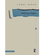 Edebiyatın Doğası