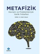 Metafizik