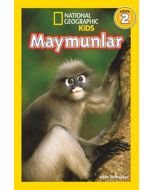 Maymunlar