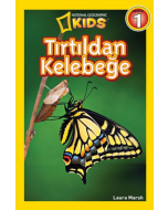 Tırtıldan Kelebeğe