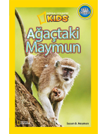 Ağaçtaki Maymun