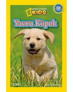 Yavru Köpek