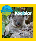 Koalalar
