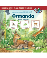 Ormanda
