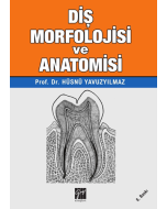 Diş Morfolojisi ve Anatomisi