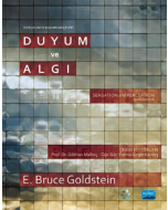 Duyum ve Algı
