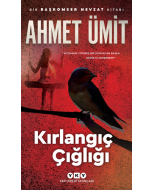 Kırlangıç Çığlığı