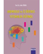 Androgoji ve İş Dünyası: Yetişkinler Eğitimde