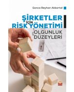 Şirketler İçin Risk Yönetimi Olgunluk Düzeyleri