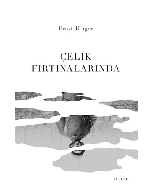 Çelik Fırtınalarında