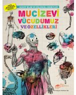 Mucizevi Vücudumuz ve Özellikleri